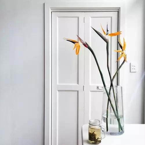 插花入瓶，生活在野