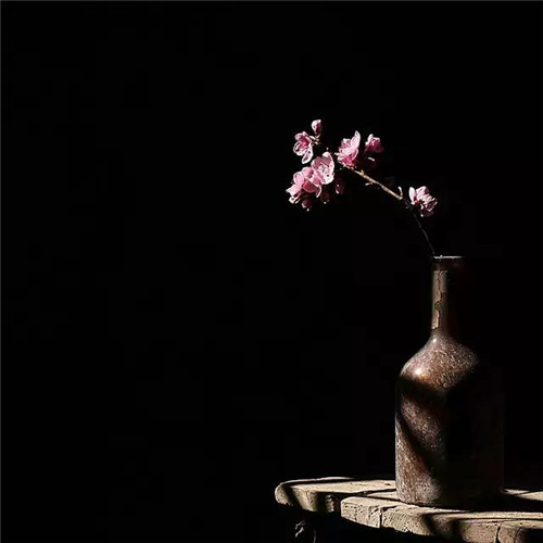 插花入瓶，生活在野