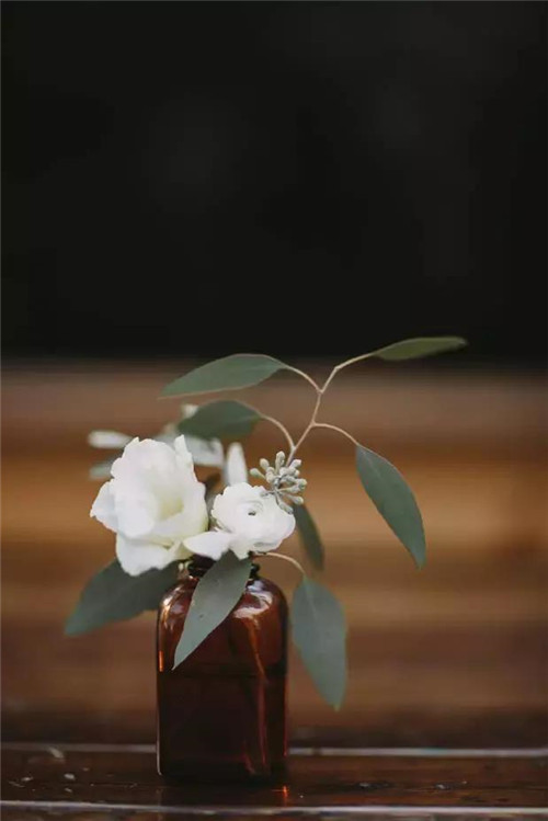 插花入瓶，生活在野