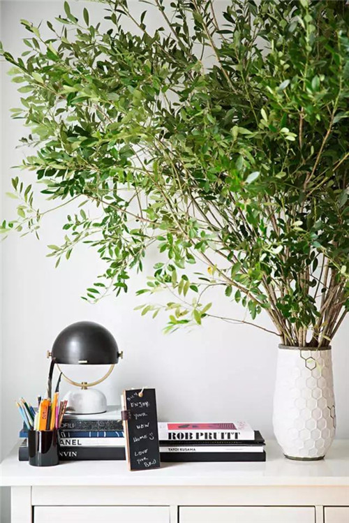 插花入瓶，生活在野