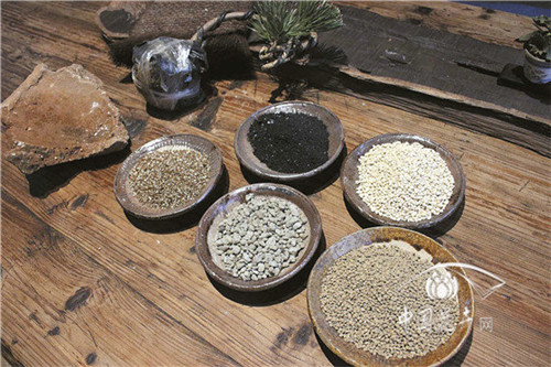 微型盆景縮天地于咫尺之間