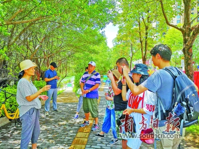 深圳百米路段景觀工程耗資千萬被叫停