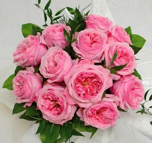 插花入門篇｜小白選手從認識常見花材開始