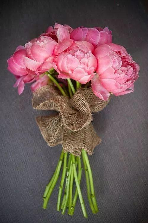 插花入門篇｜小白選手從認識常見花材開始