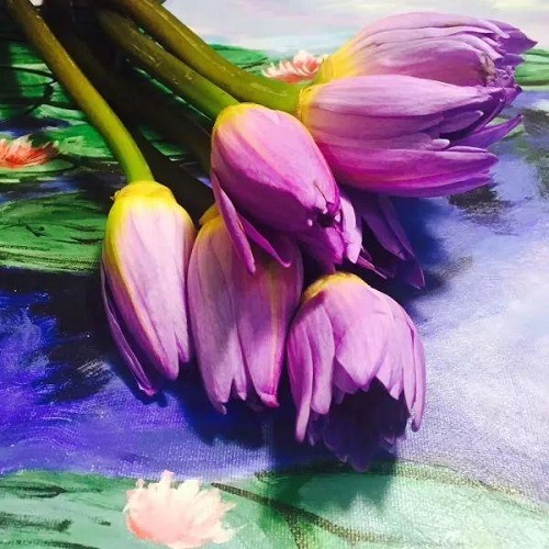 插花入門篇｜小白選手從認識常見花材開始