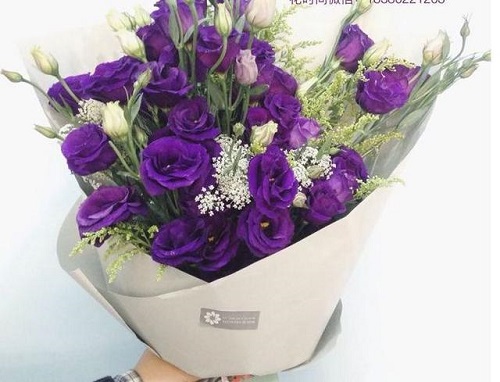 插花入門篇｜小白選手從認識常見花材開始