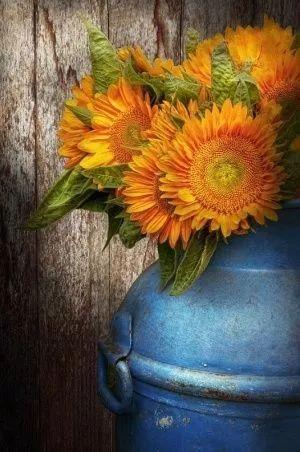 插花入門篇｜小白選手從認識常見花材開始