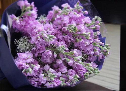 插花入門篇｜小白選手從認識常見花材開始