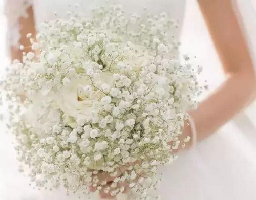 插花入門篇｜小白選手從認識常見花材開始