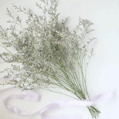 插花入門篇｜小白選手從認識常見花材開始