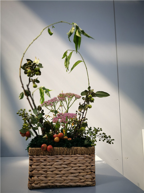 國內外花藝大師同臺獻藝 秦皇島舉辦國際插花藝術展