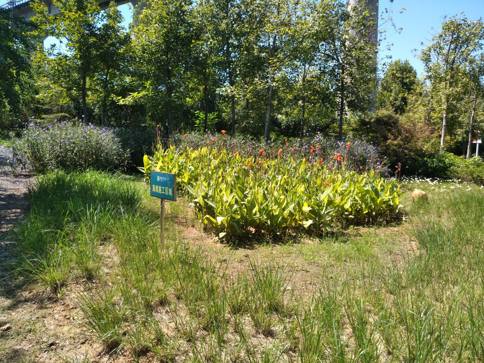 敬畏自然，與自然共生