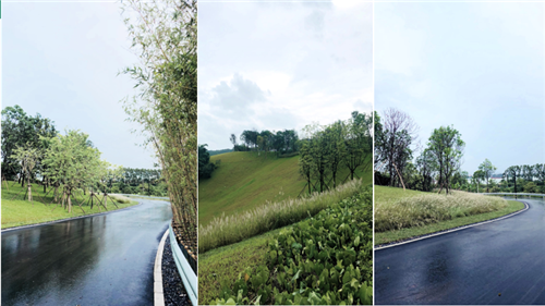 園冶杯專業獎：保利江門?云上西棠田園綜合體示范區