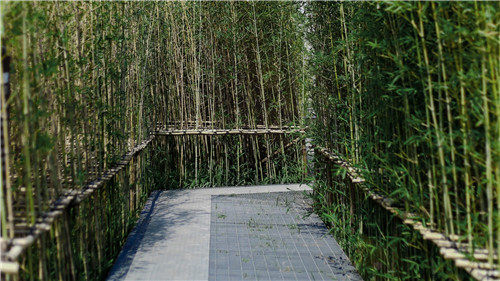 園冶杯專業獎：保利江門?云上西棠田園綜合體示范區