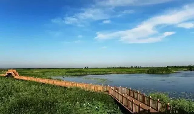 1500畝示范區!雄安新區這一項目最新進展