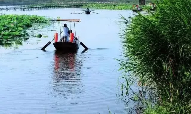 1500畝示范區!雄安新區這一項目最新進展