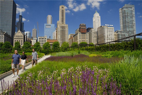 埃菲爾鐵塔周邊將改造為大花園,由哪位大師設計?