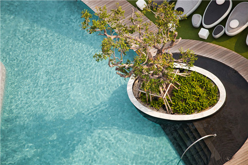 無邊際泳池,令人驚嘆的空中景觀