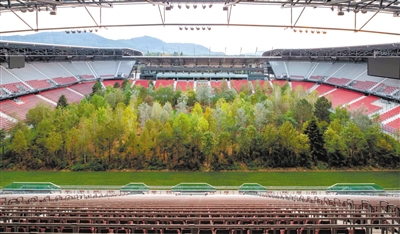 奧地利公共藝術(shù)裝置體育場化身巨型森林