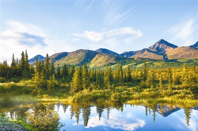 2019年世界林業十大關注熱點 