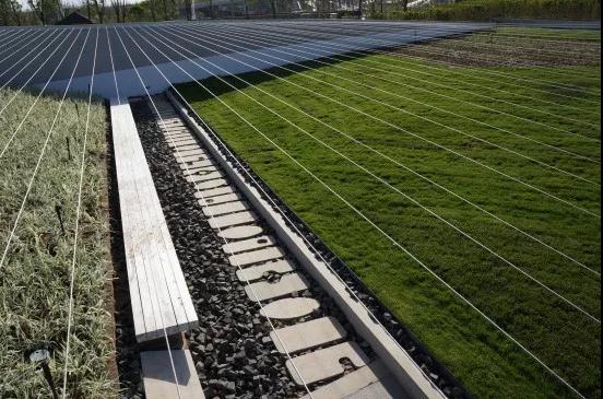 全球設(shè)計師創(chuàng)意薈萃的舞臺——記第九屆園博會的大師園和設(shè)計師廣場