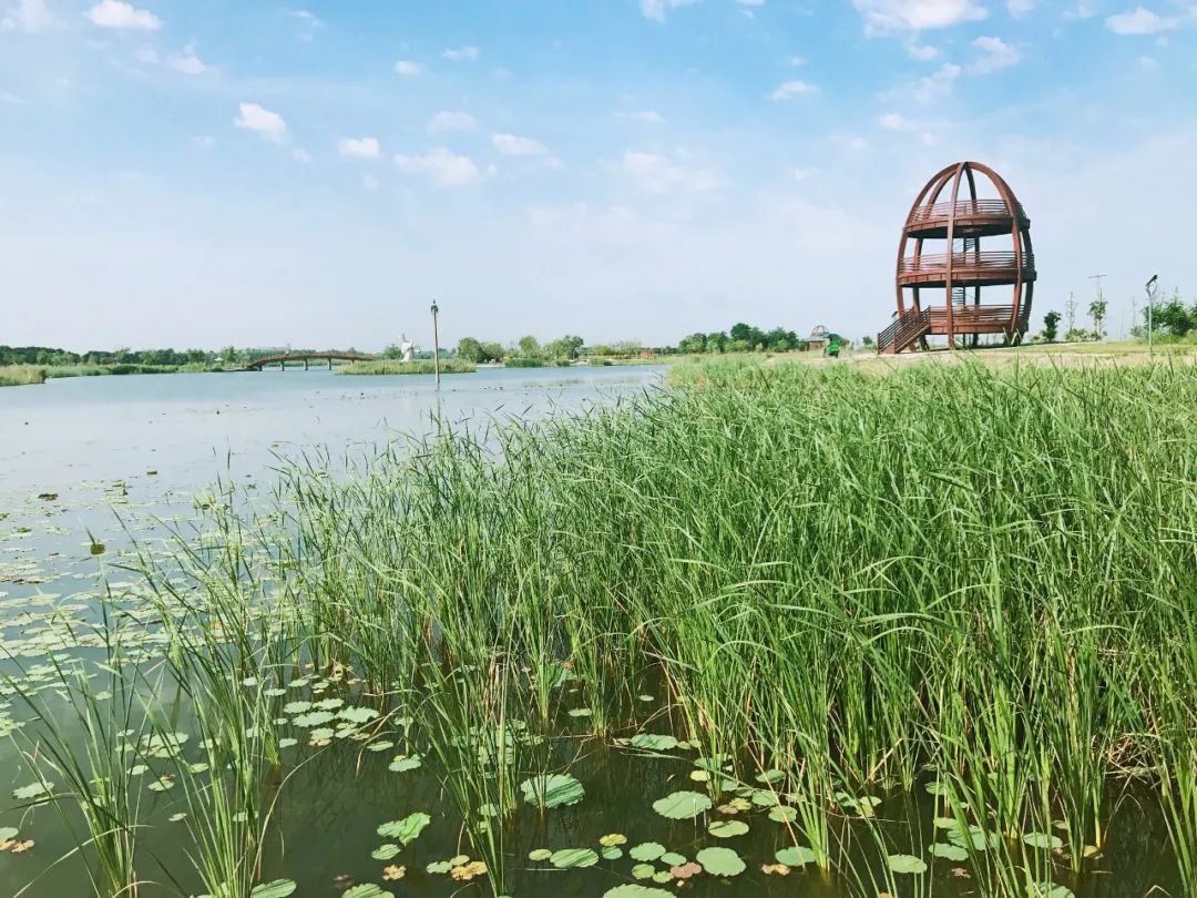 匯聚全球智慧促進(jìn)湖城發(fā)展 河北衡水打造永不落幕園博會(huì)