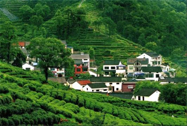 張建庭：杭州新西湖修復(fù)經(jīng)驗(yàn)