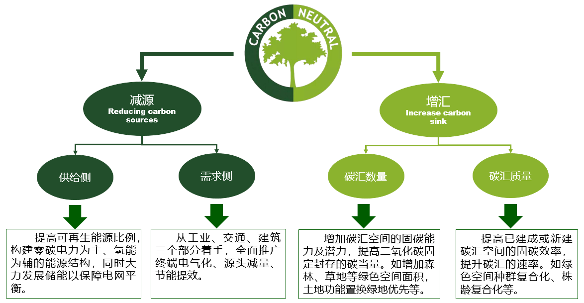 石鐵矛：“碳中和”導(dǎo)向下的城市綠地系統(tǒng)碳匯