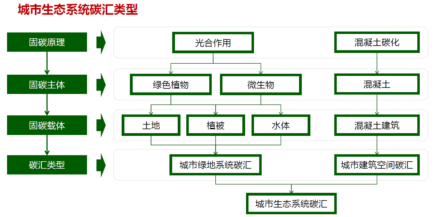 石鐵矛：“碳中和”導(dǎo)向下的城市綠地系統(tǒng)碳匯