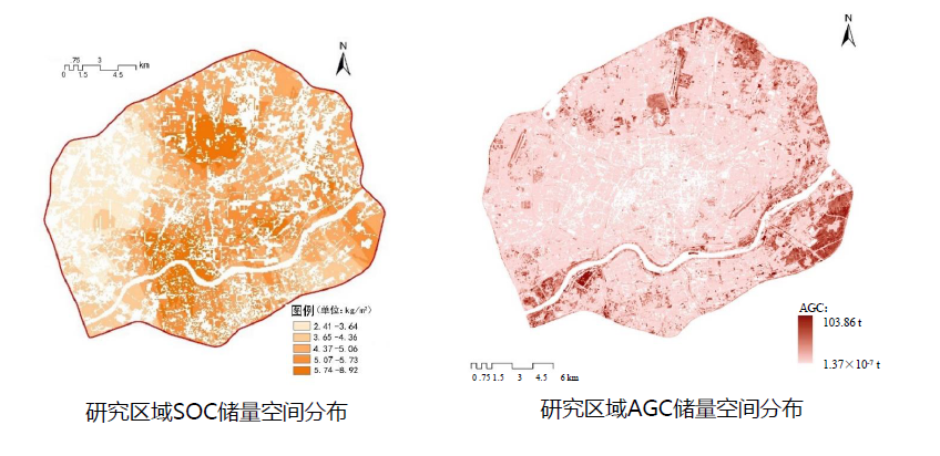 石鐵矛：“碳中和”導(dǎo)向下的城市綠地系統(tǒng)碳匯