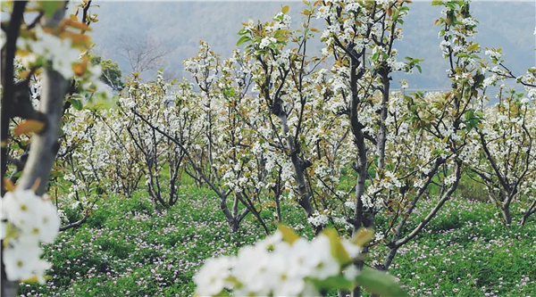 臺州·黃巖交旅集團枕山酒店