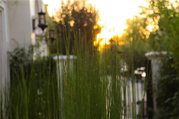 海躍潤園丨北京魯能格拉斯別墅花園