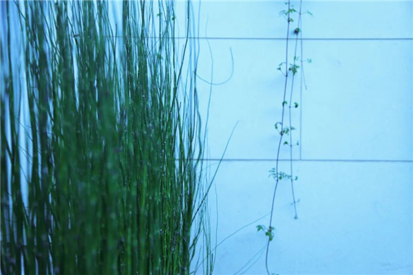 海躍潤園丨北京魯能格拉斯別墅花園