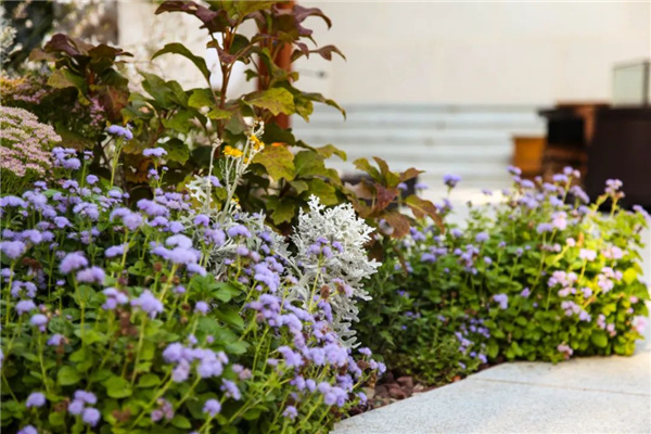 海躍潤園丨北京魯能格拉斯別墅花園