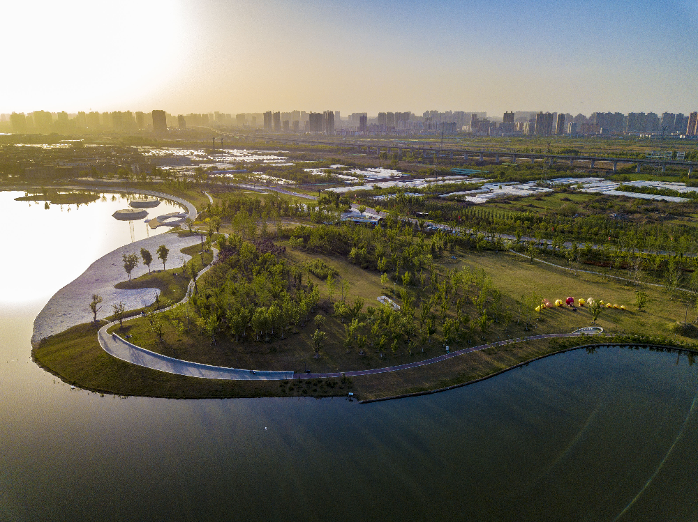 華曦園林葛慧莉:20年只做了一件事