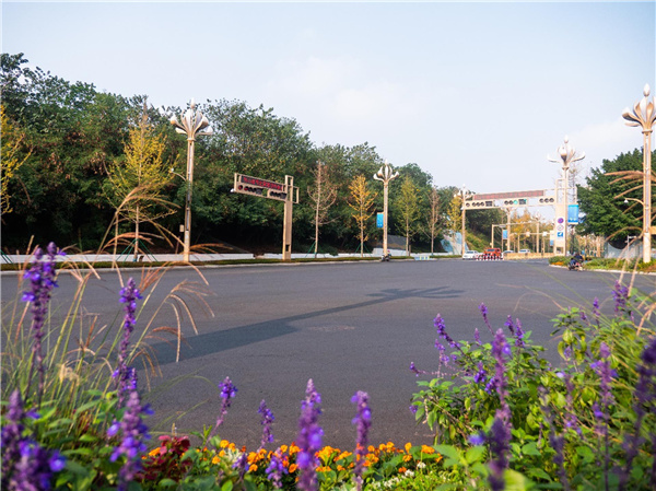 園冶杯獲獎作品丨三江新區(qū)黃桷坪大道景觀提升