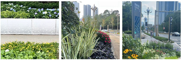 園冶杯獲獎作品丨三江新區(qū)黃桷坪大道景觀提升