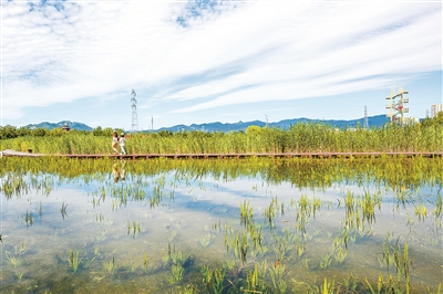 北京已形成生物多樣性保護空間體系
