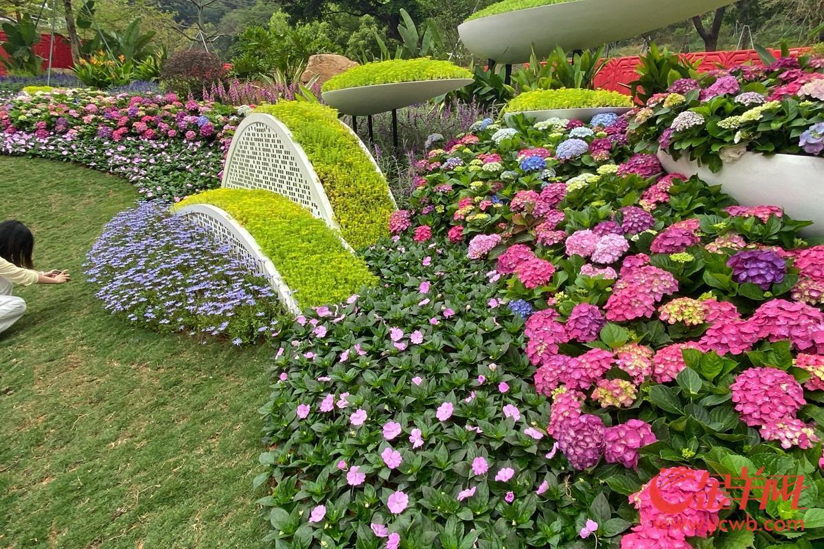 探營廣州園博會：移步換景賞雅色 繡球簇擁廣州城