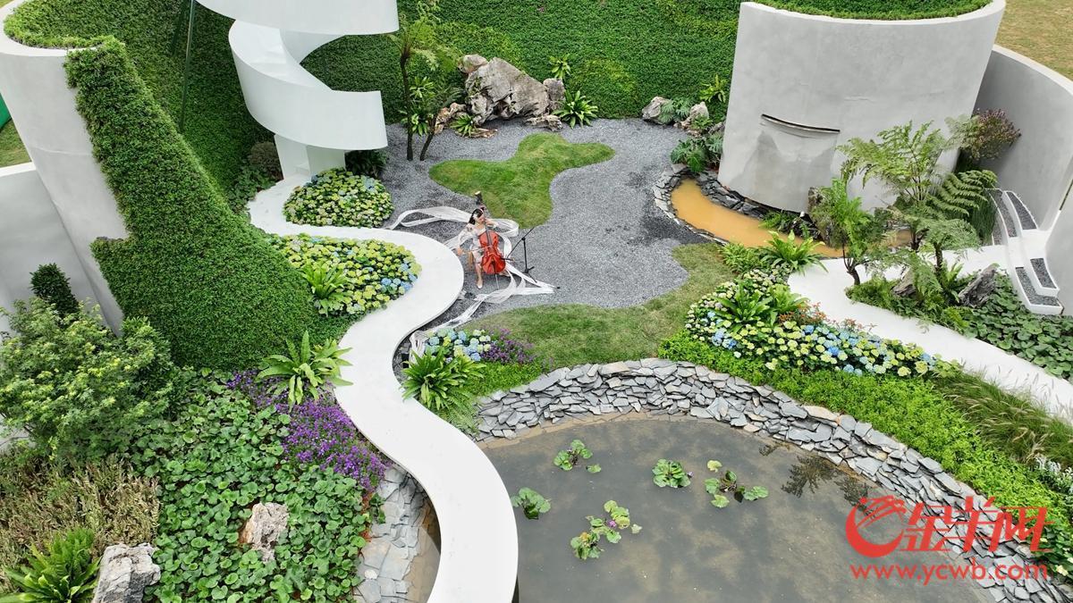 探營廣州園博會：移步換景賞雅色 繡球簇擁廣州城