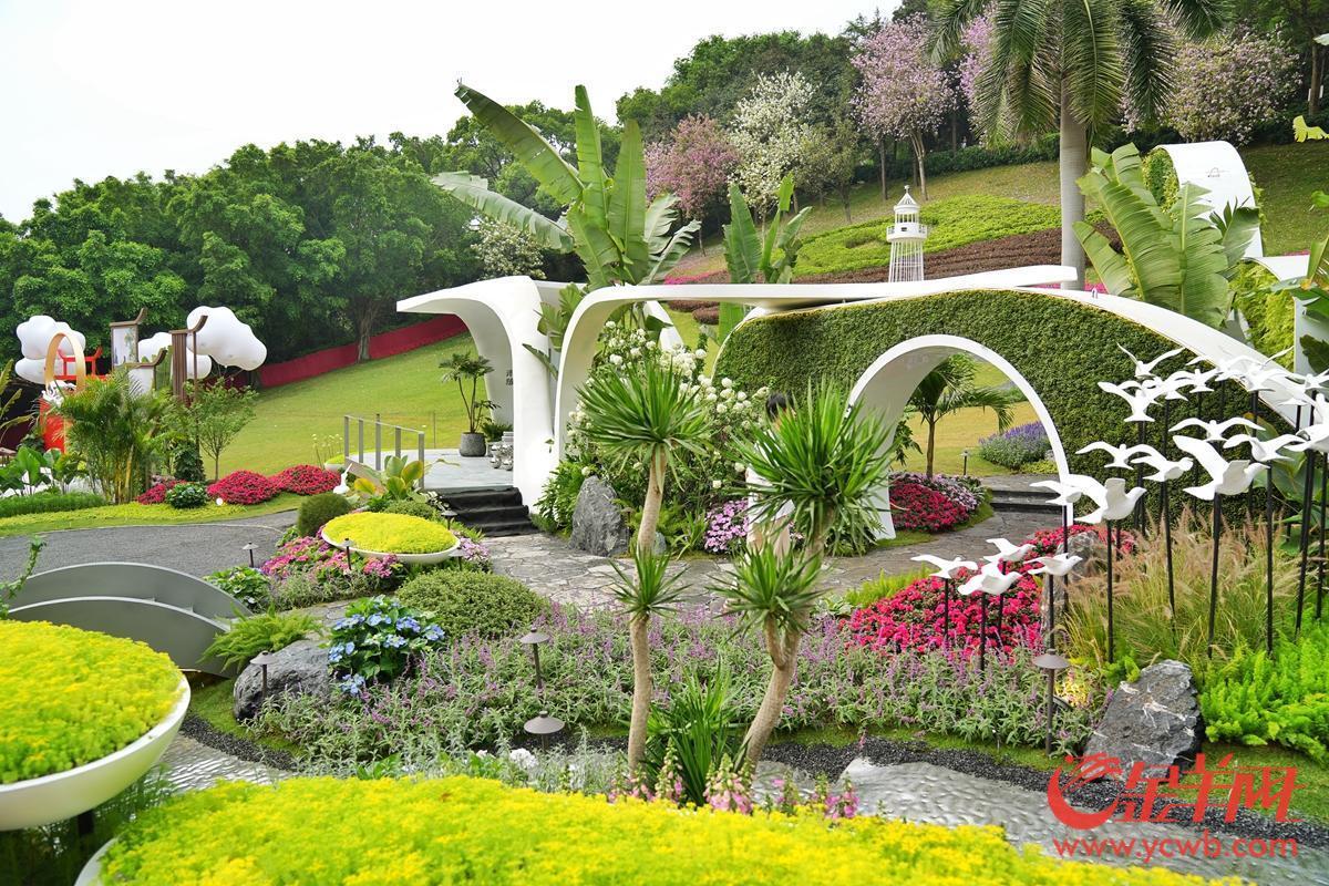 探營廣州園博會：移步換景賞雅色 繡球簇擁廣州城