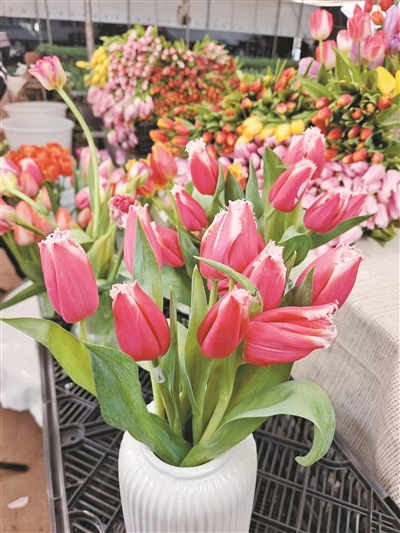 花卉產業發展的活力與美好