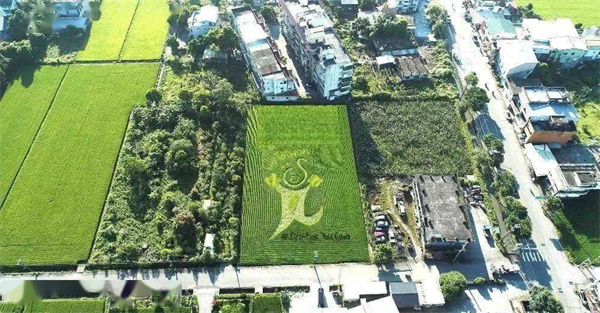 宜蘭縣三星鄉(xiāng):蔥滿勝算 盡在三星