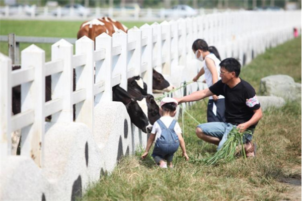 花蓮縣瑞穗牧場:精品休閑農旅 打造牛奶天堂