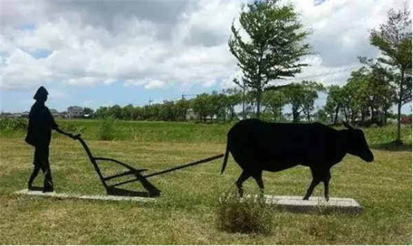 臺南市土溝村：藝術介入社區營造，探索現代農村生活模式