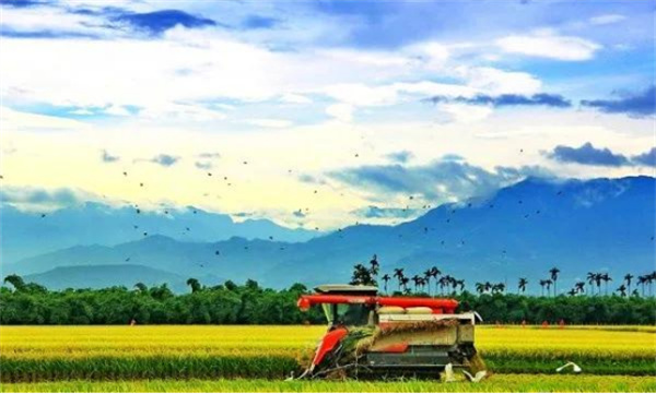 嘉義縣大林鎮(zhèn):諧音梗不扣錢 反成流量密碼