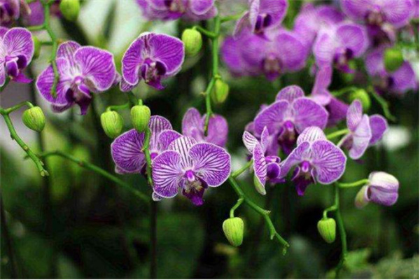 嘉義縣大林鎮(zhèn):諧音梗不扣錢 反成流量密碼