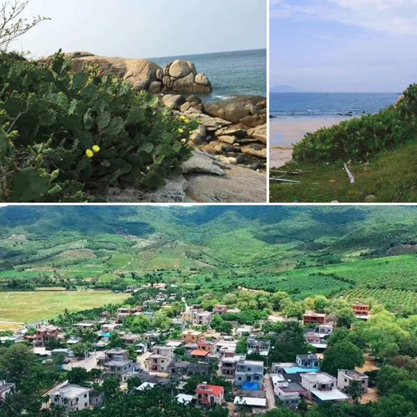 致舍景觀 ｜ 阿那亞三亞南花園