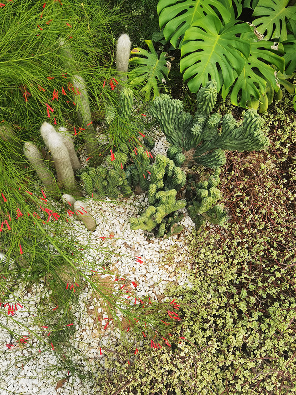 致舍景觀 ｜ 阿那亞三亞南花園