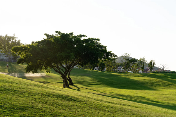 致舍景觀 ｜ 阿那亞三亞南花園